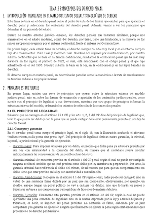 Tema Apuntes De Esteban Tema Las Penas Privativas De Derechos