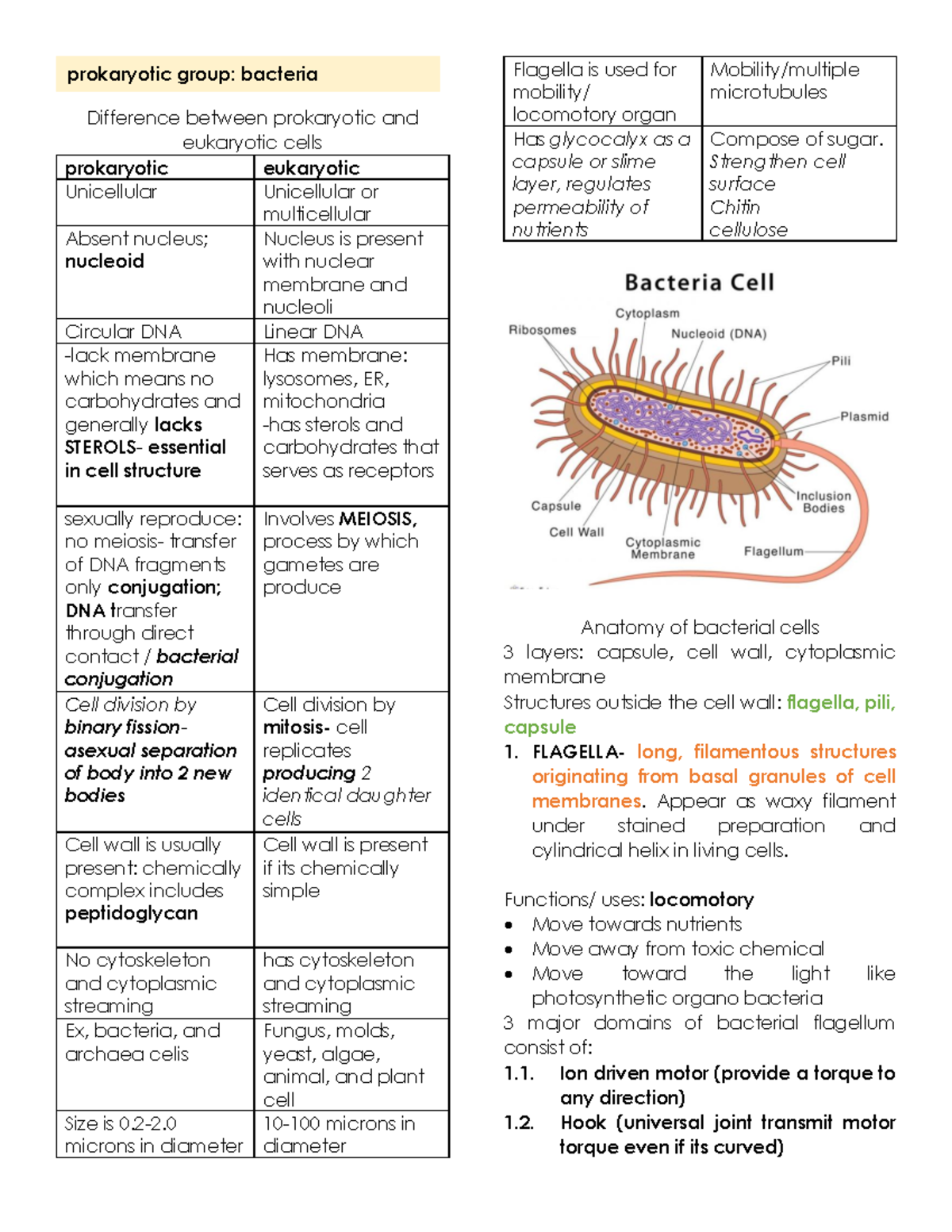 Midterm exam notes for prokaryotic and eukaryotic cells (MC3) - Studocu