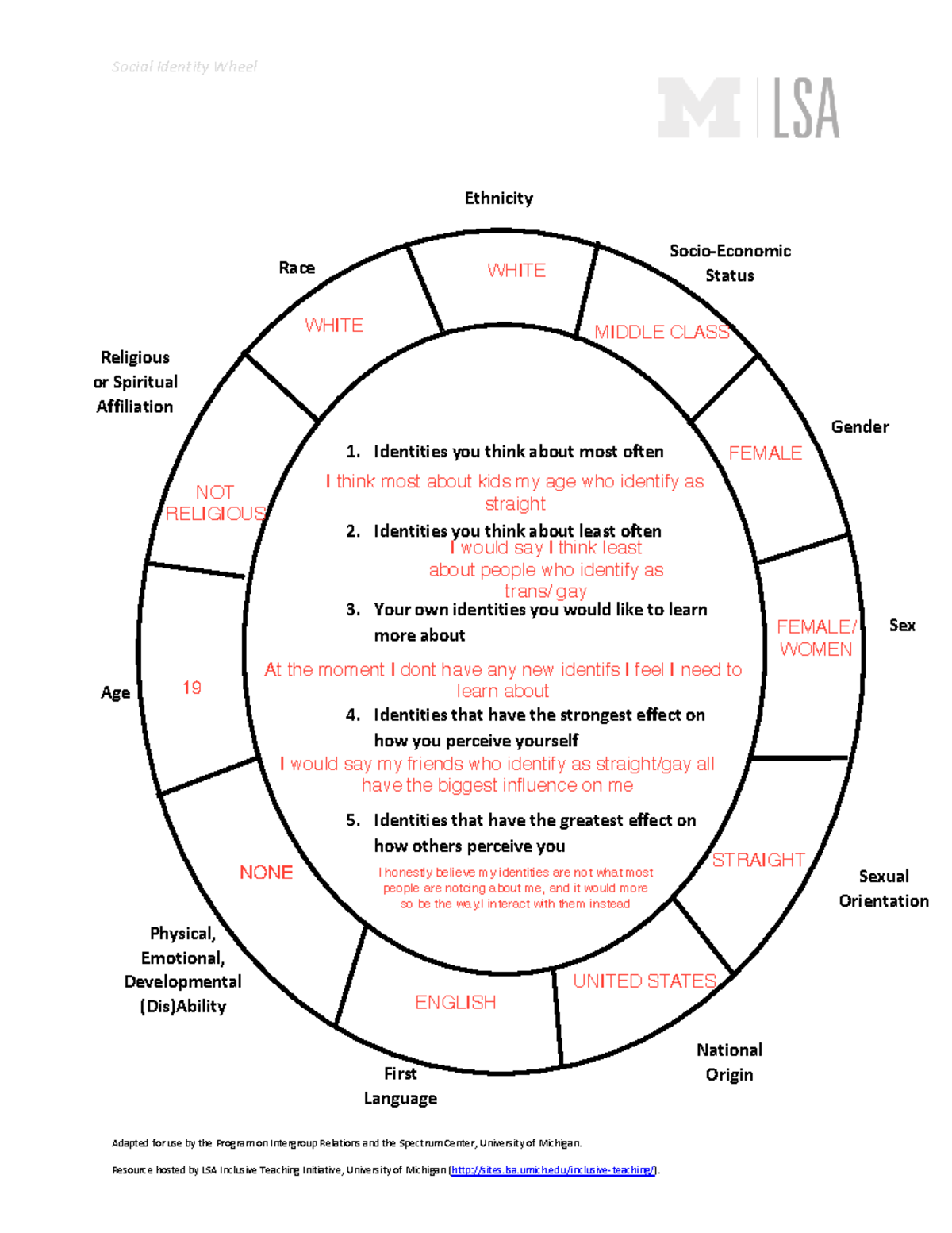Social Identity Wheel Analysis: Ethnicity, Race, and More - Studocu