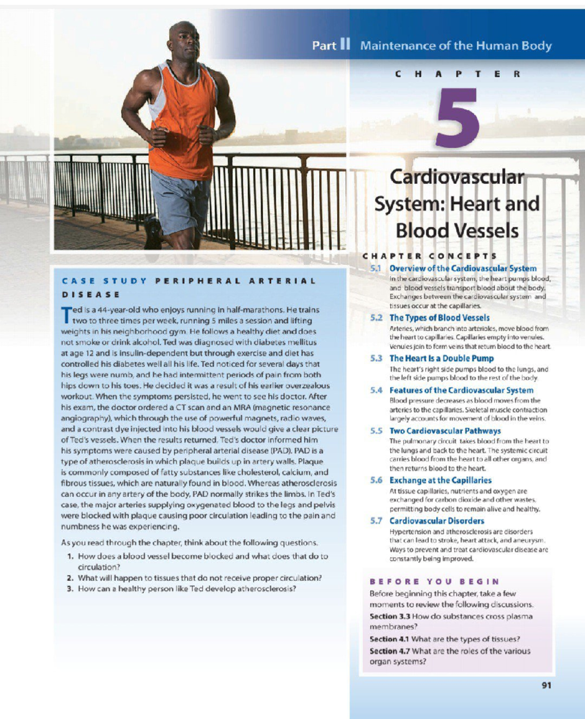 CVS 5: Cardiovascular system overview and key concepts - Studocu