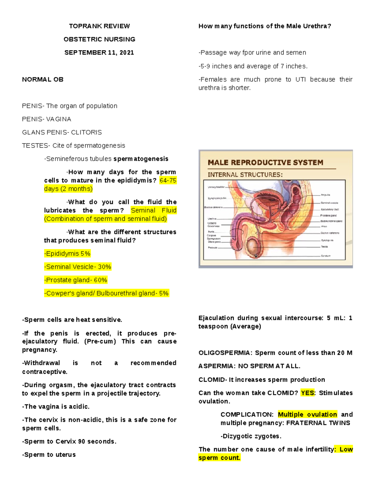 Obstetric Nursing Final Exam Notes - TopRank Review - Studocu