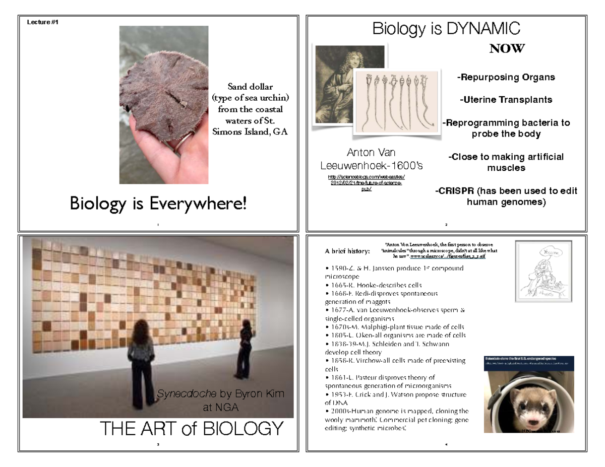 Biology Overview: Key Concepts, Characteristics, and Theories (BIO101 ...