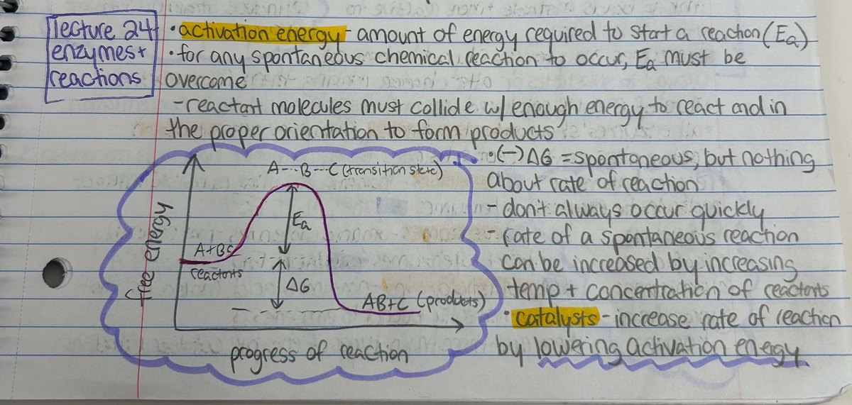 Comprehensive Study Guide for XYZ 101 - Final Exam on Activation Energy ...