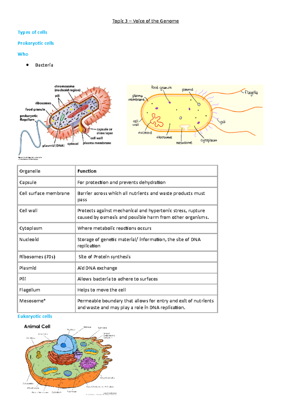 Topic 3 - Voice of the Genome: Cell Types and Functions in Biology ...