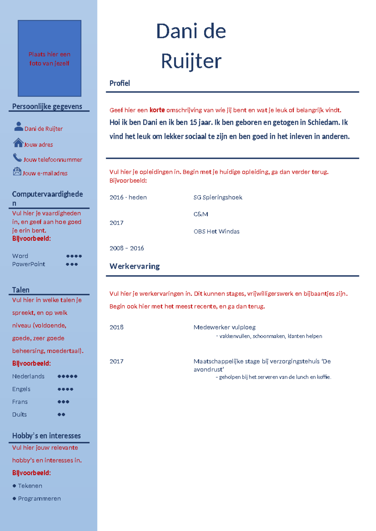 Curriculum Vitae Voorbeeld - Tips voor een Perfecte CV Layout - Studeersnel