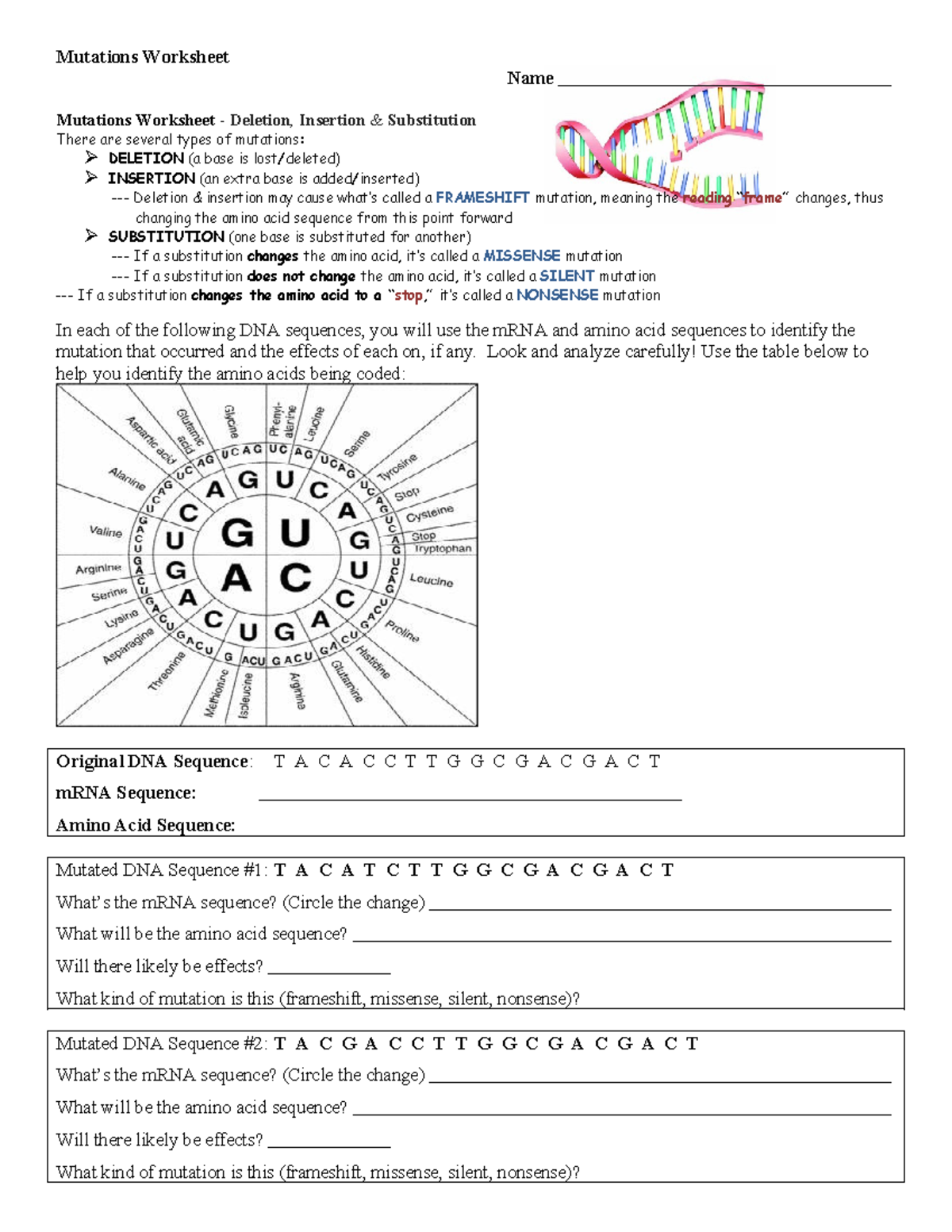 Mutations Worksheet - Types, Effects & Identifications - Studocu