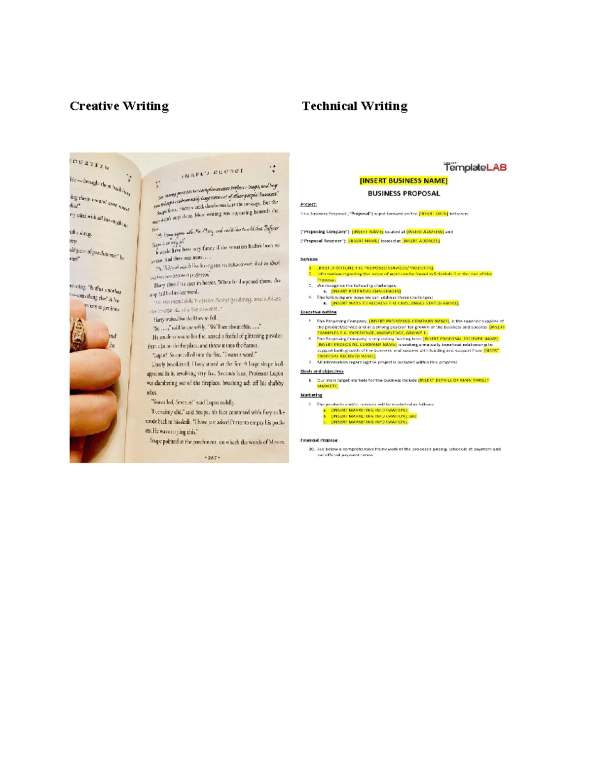 Technical Report Writing Assignment No 1 - Creative Writing Technical ...