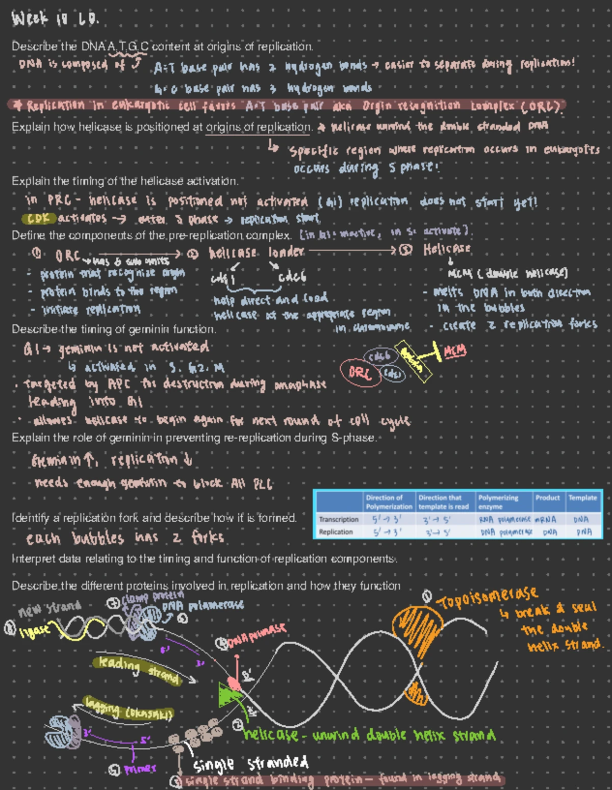 Bio 101 Week 7 Study Packet Summary and Notes - Studocu