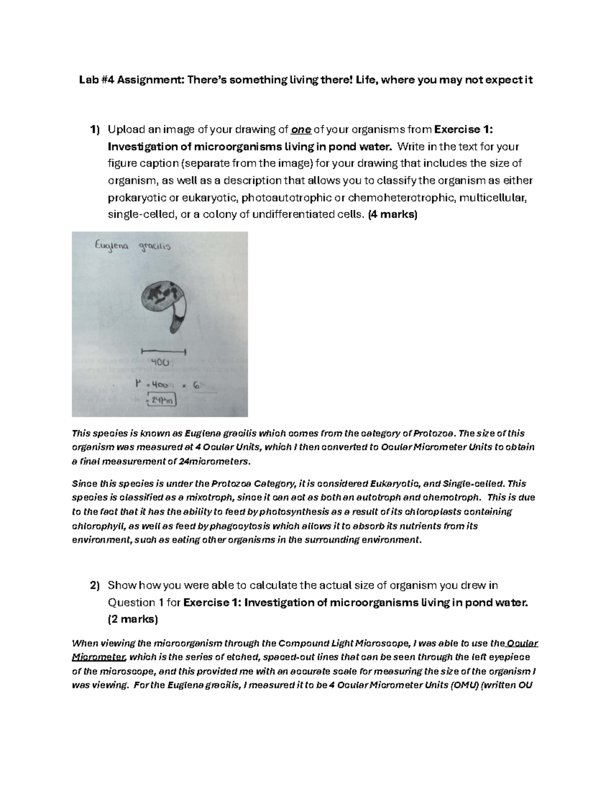 BIOA01 Lab 4: Investigating Microorganisms in Pond Water - Studocu