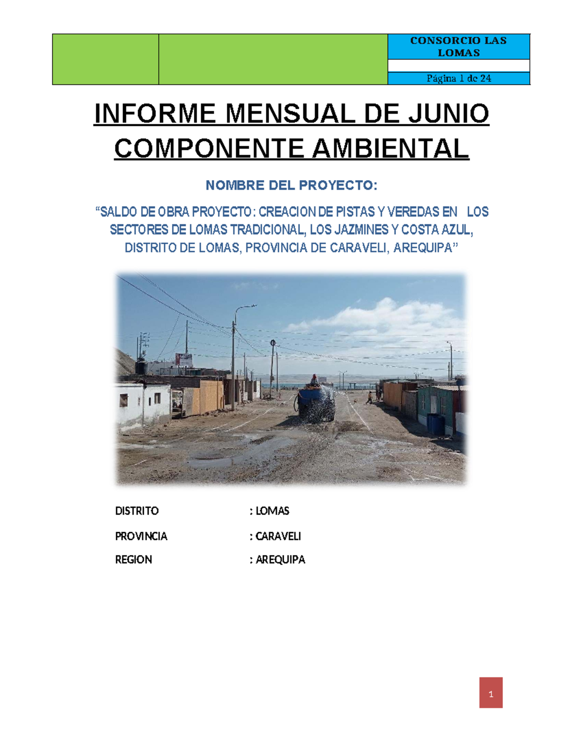 Informe Mensual de Mitigación Ambiental - Proyecto Pistas y Veredas - Document Preview