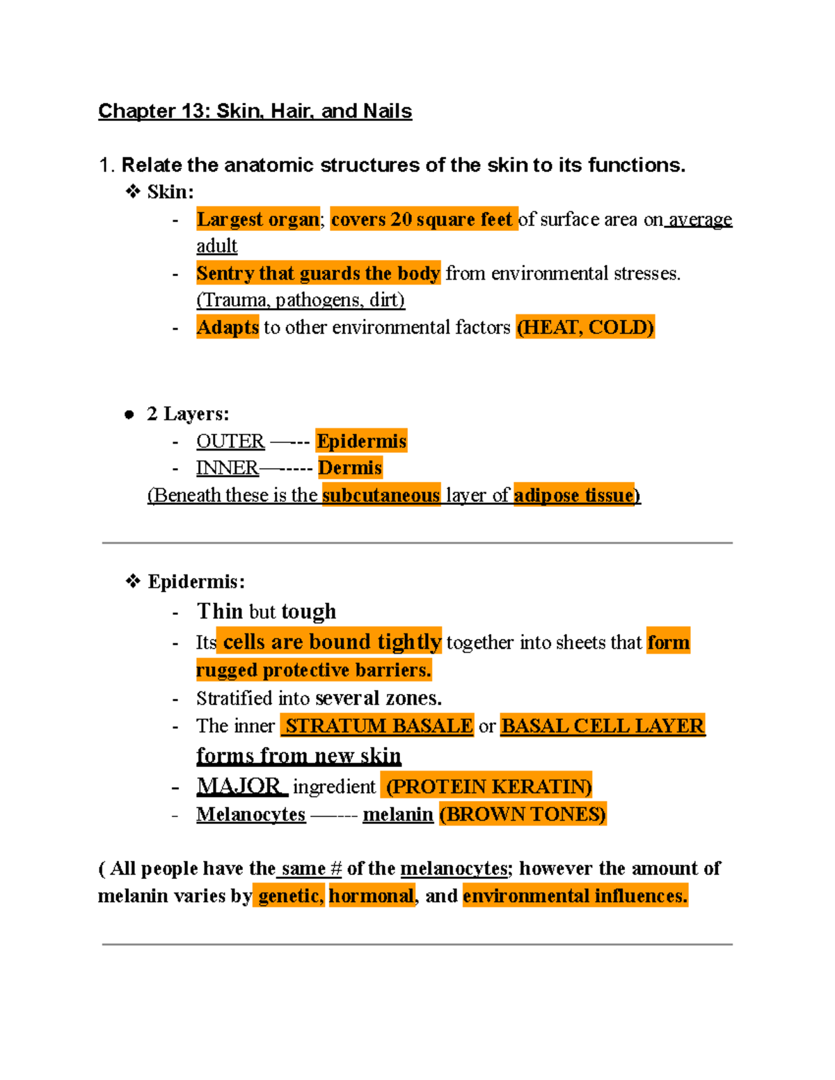 Anatomy and Assessment of the Neck: Key Structures and Functions ...