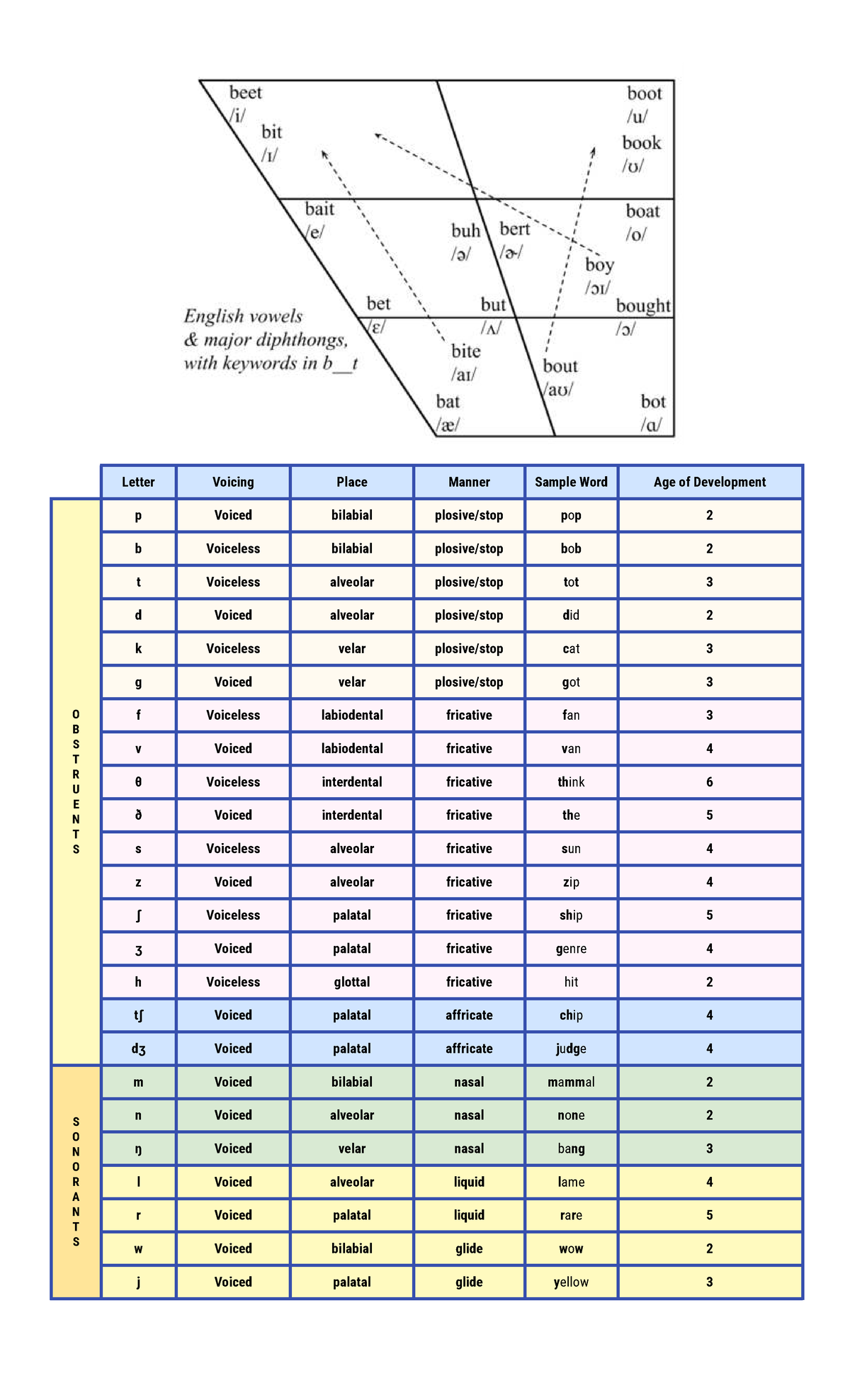 Transcription and Phonological Processes: Voicing and Development - Studocu