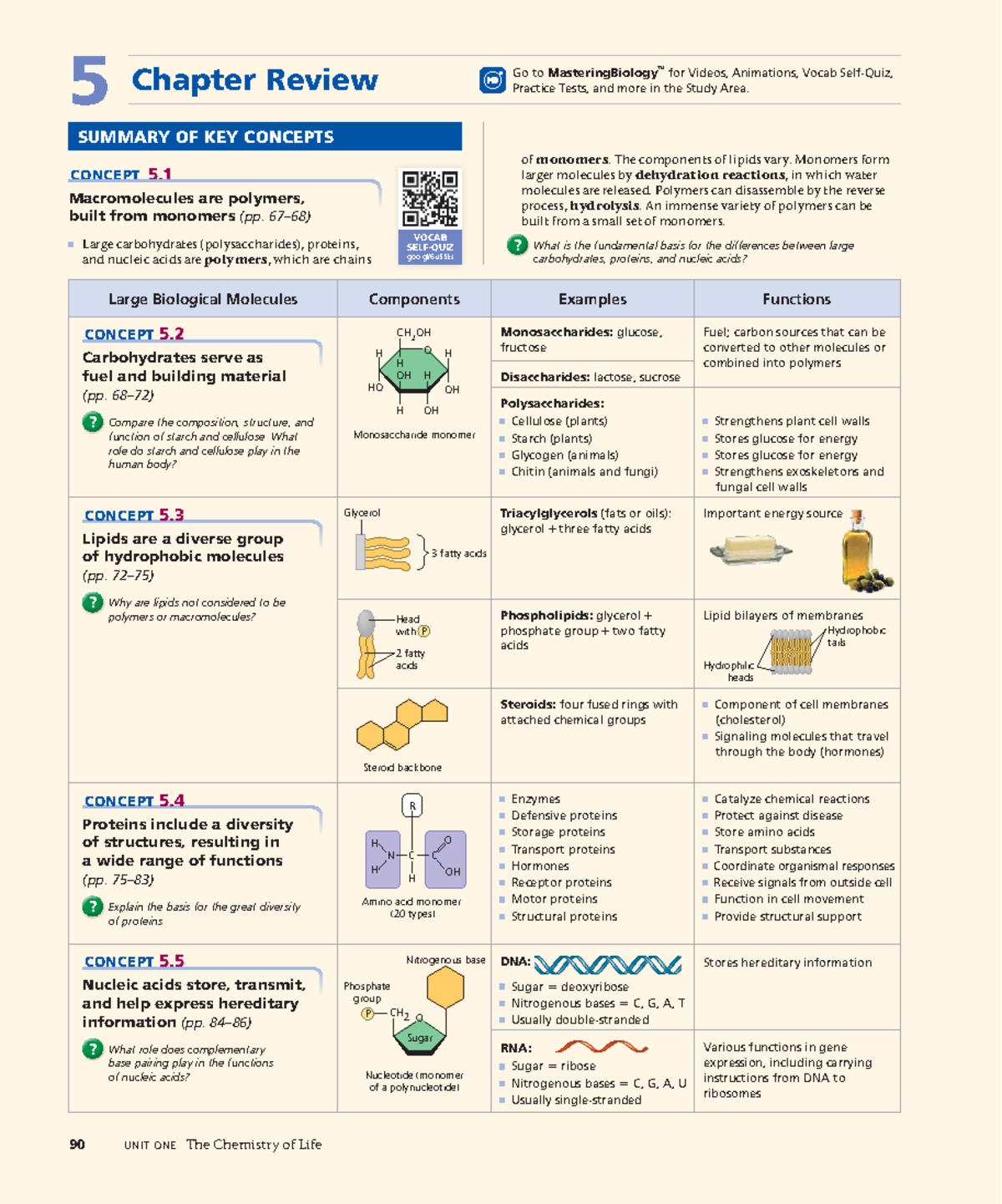 Overview of Macromolecules and Polymers - Ch5 Summary - Studocu