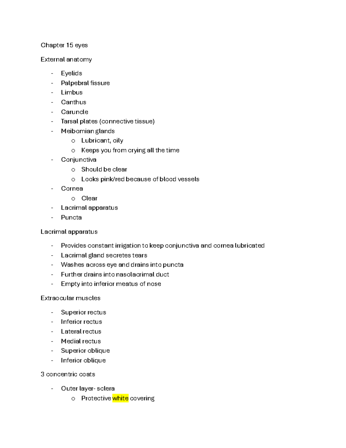 Health 15: Study Guide on Eye Anatomy and Visual Function - Studocu