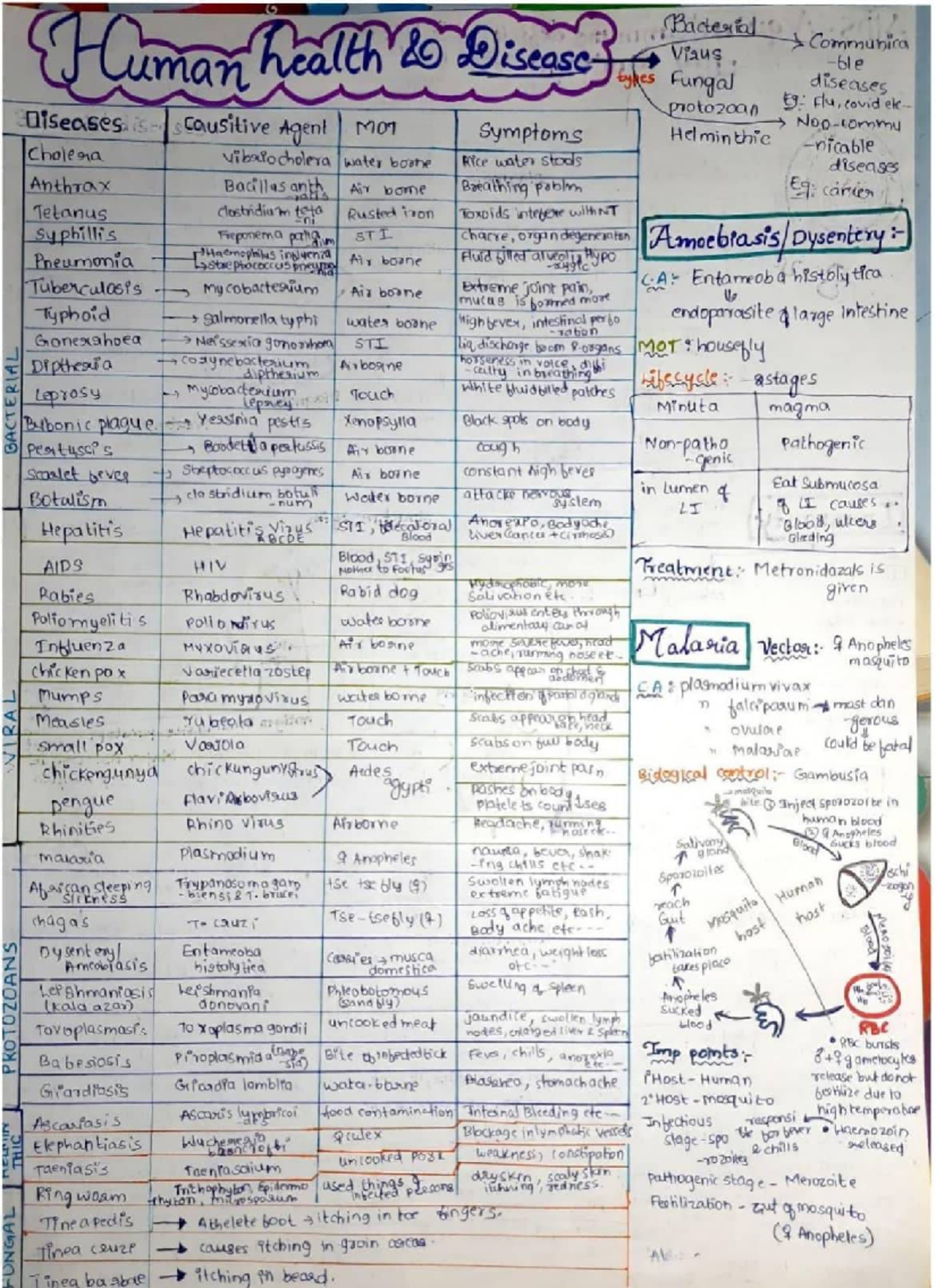 Comprehensive Study Notes on Infectious Diseases: Bacteria, Viruses ...
