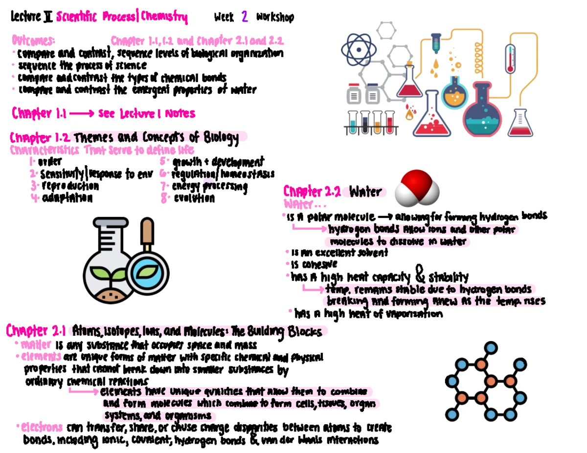 Lecture 3: Biological Molecules and Their Functions in Life - Studocu