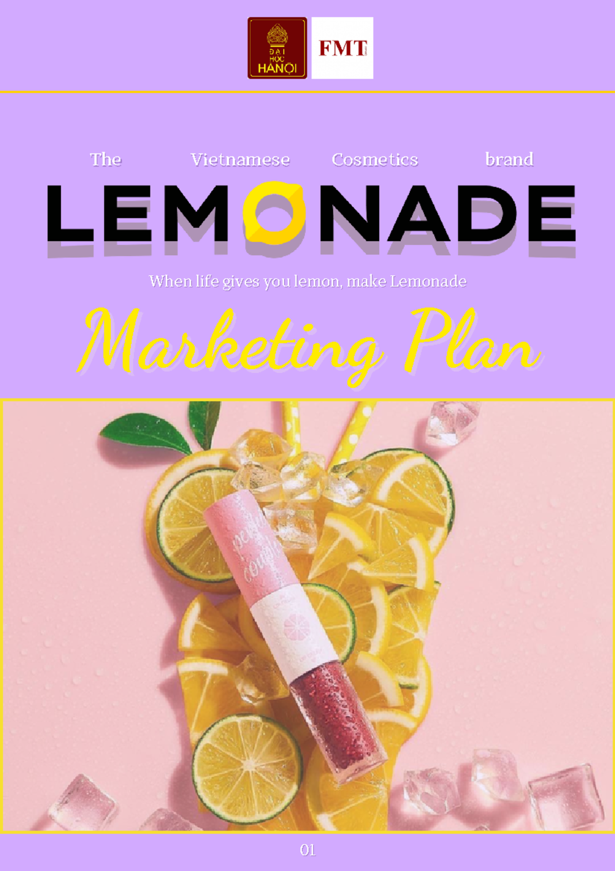Marketing Plan for Lemonade Cosmetics (Group 02) - Course Code ...