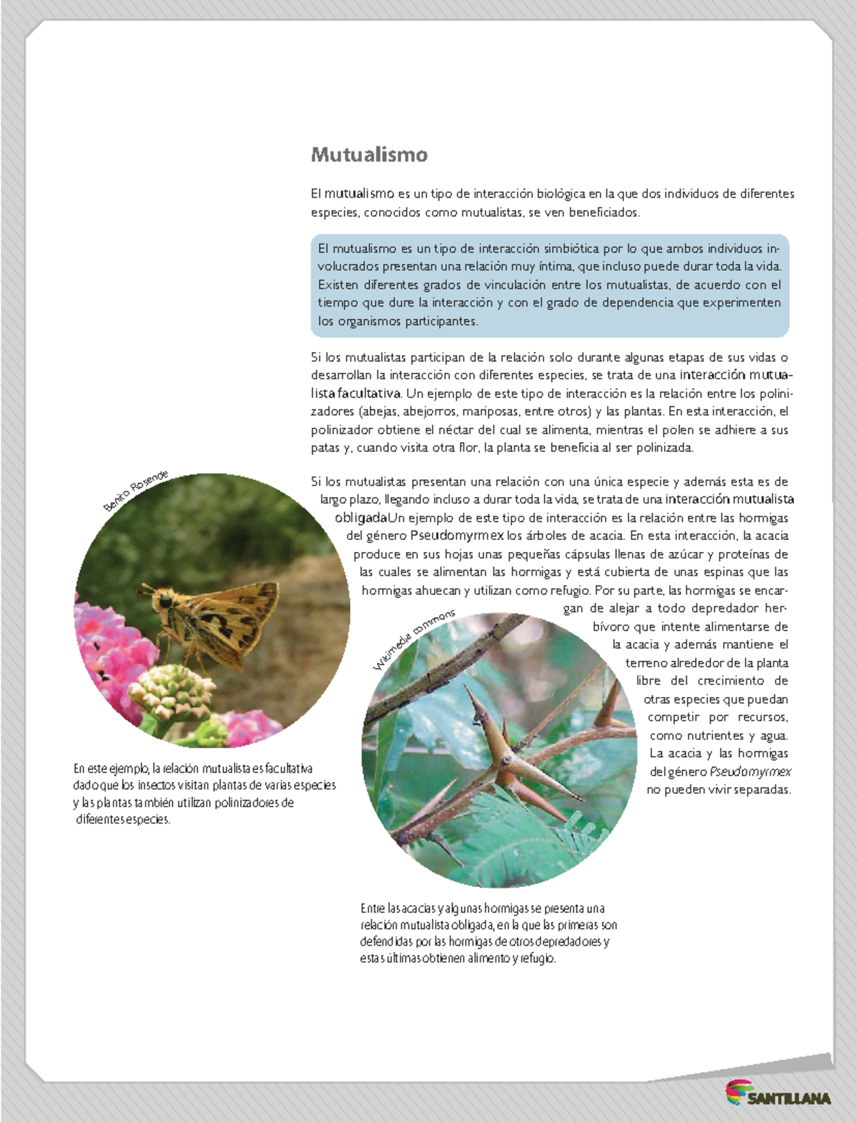 7° Tipos de Mutualismo: Interacciones Simbióticas y Ejemplos - Studocu