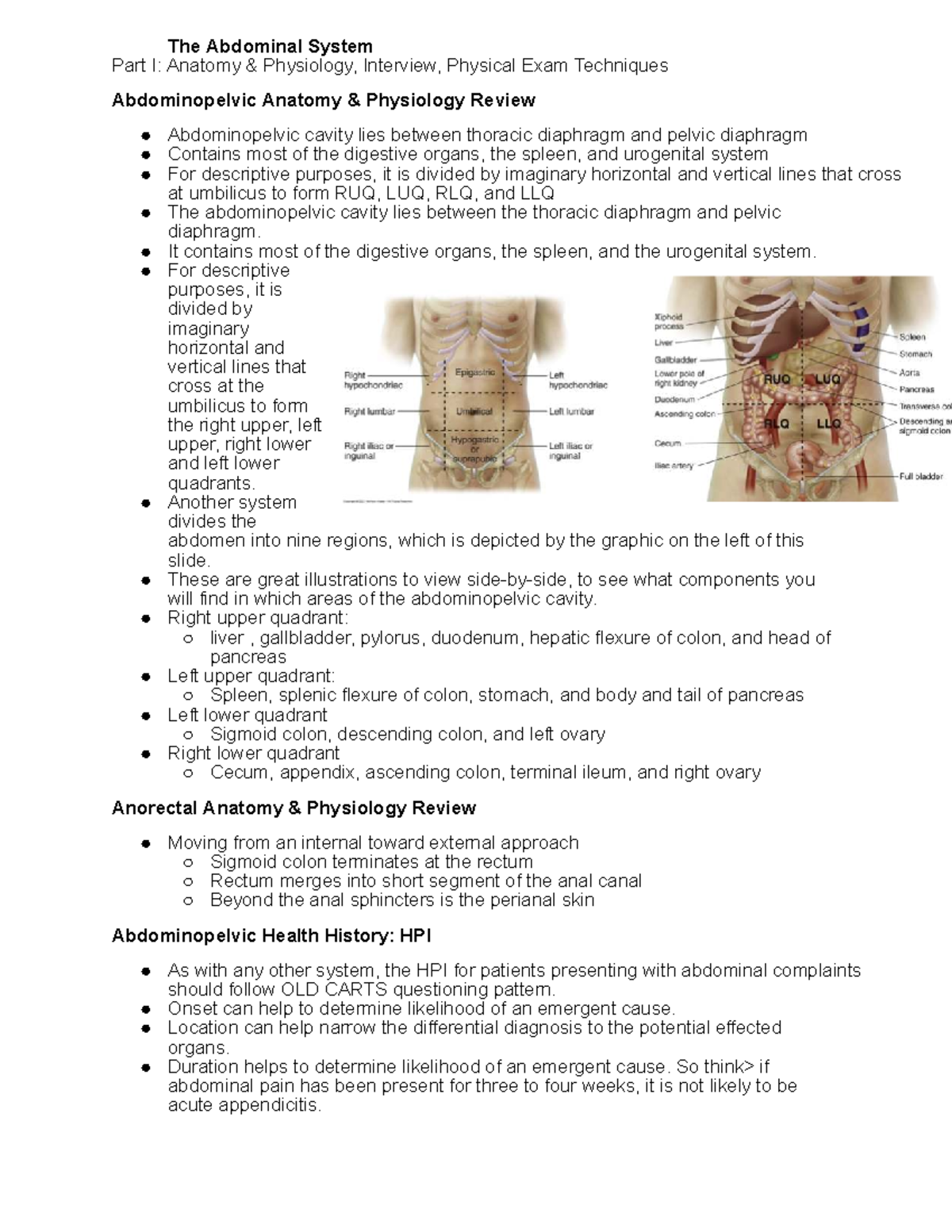 Abdominal System Review: Anatomy, Physiology, and Exam Techniques - Studocu