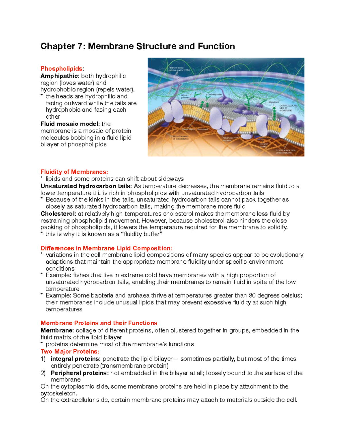 Chapter 7: Membrane Structure & Function Overview (Biology 101) - Studocu