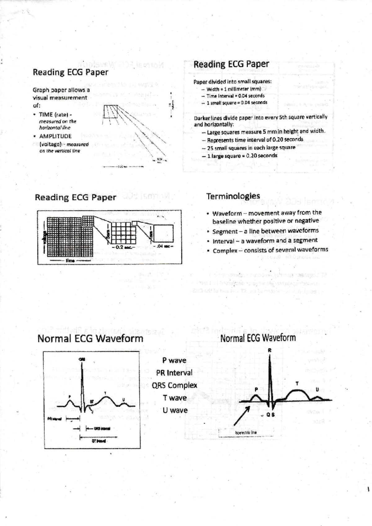 ECG Pharma Notes: Understanding ECG Paper and Waveform Analysis - Studocu