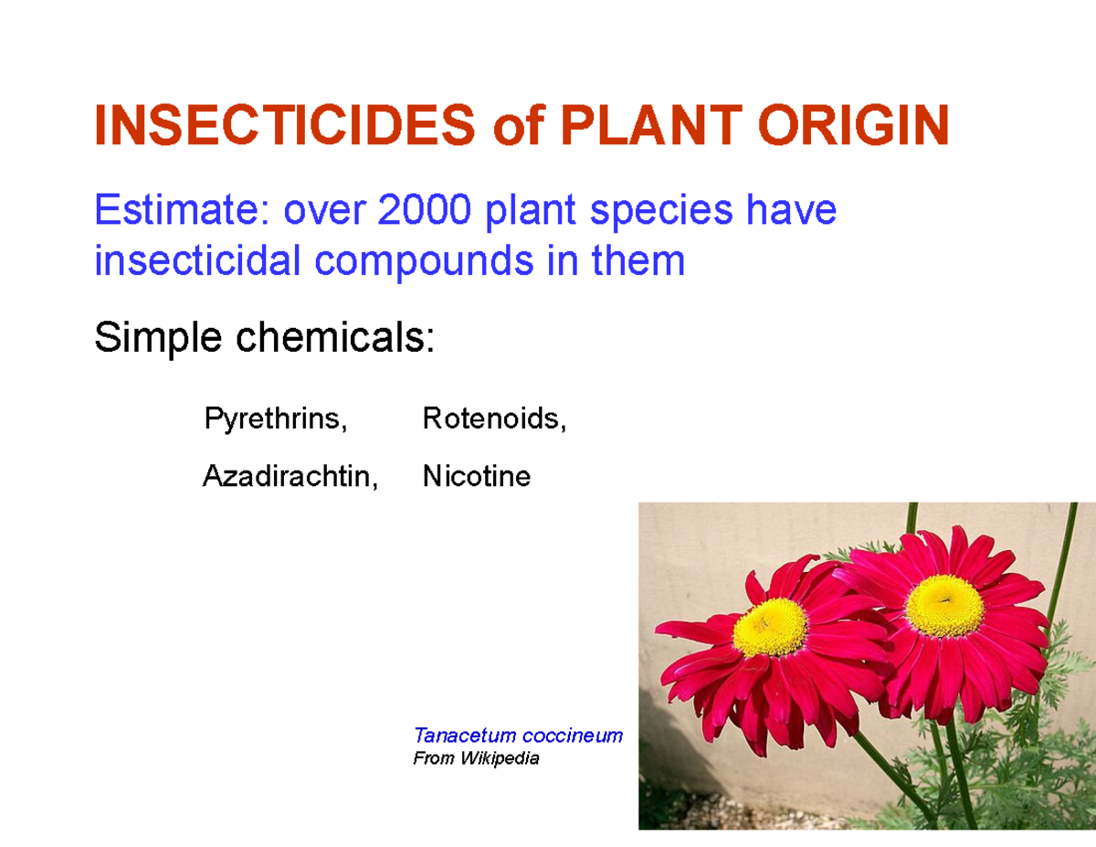 Lecture 11: Insecticides of Plant Origin - Revised Slides (INSECTICIDES ...