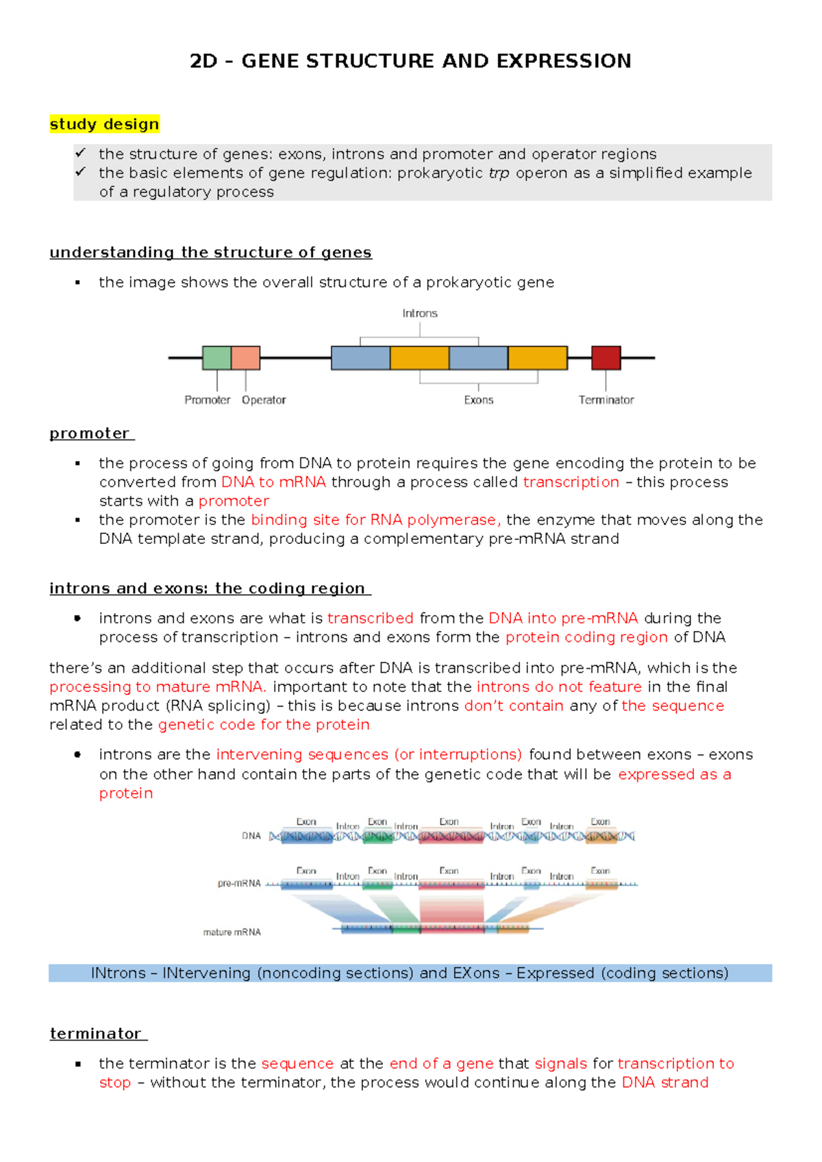 2D GENE STRUCTURE & EXPRESSION: Study of Exons, Introns, and Regulation ...