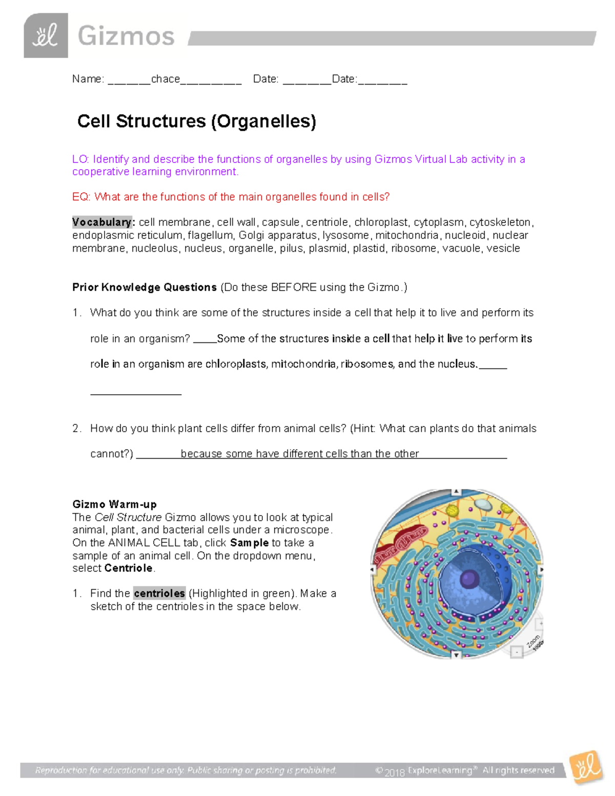 Gizmos Cell Structure Lab Activity (Bio 101): Exploring Organelles ...