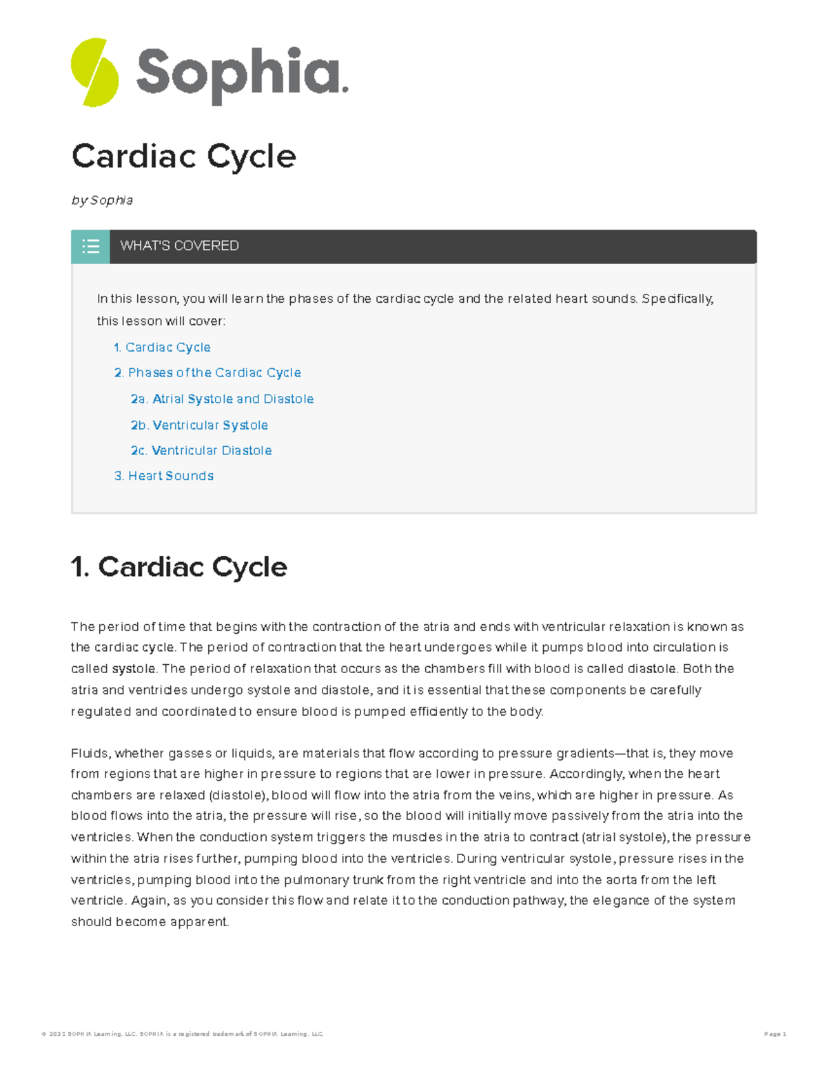 Cardiac Cycle Lesson - Detailed Phases & Heart Sounds (BIO 101) - Studocu