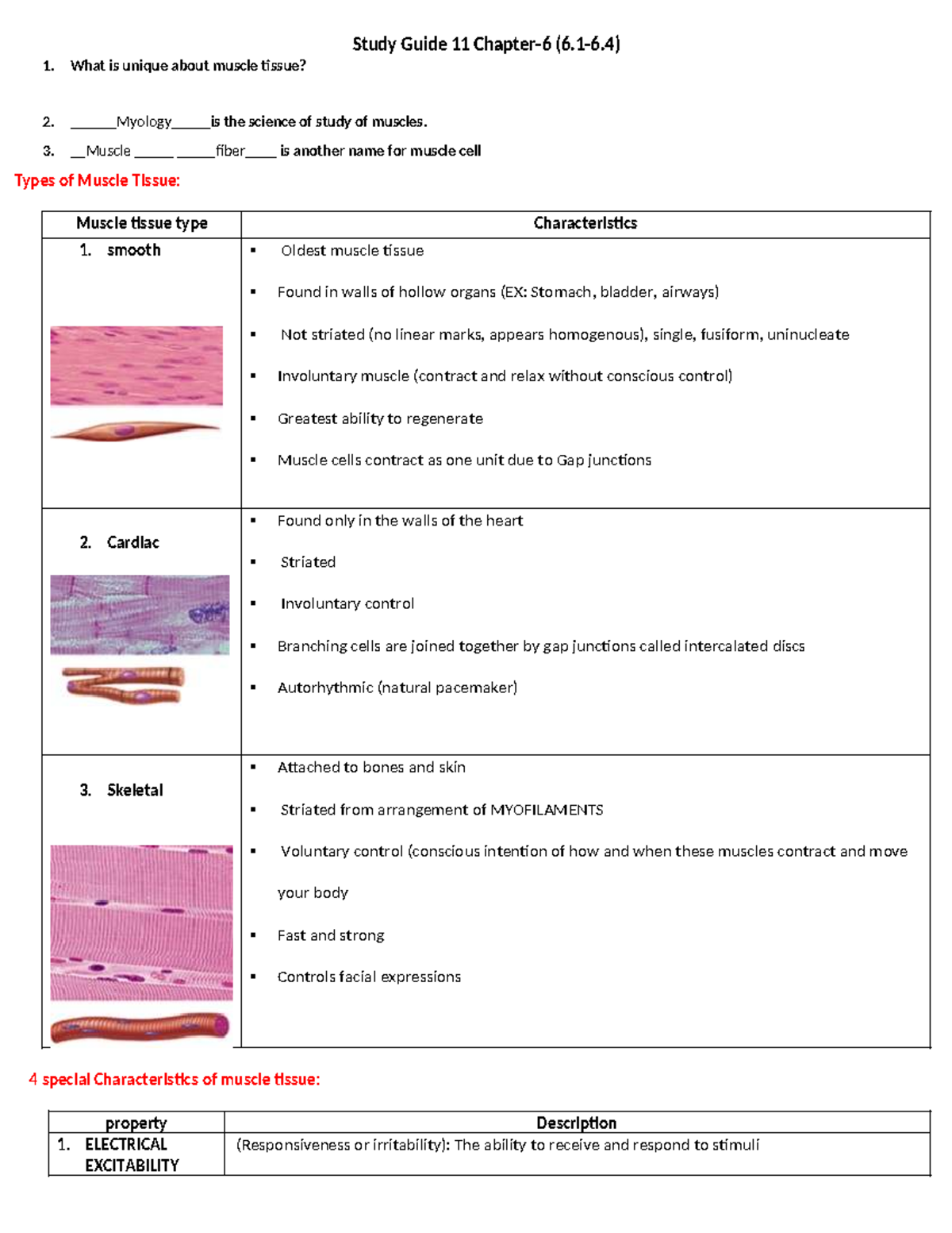 Muscle Physiology Study Guide (Myology): Key Concepts & Functions - Studocu