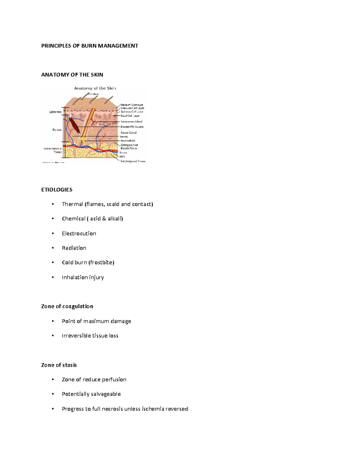 Principles of Burn Management: An In-Depth Guide for Healthcare ...