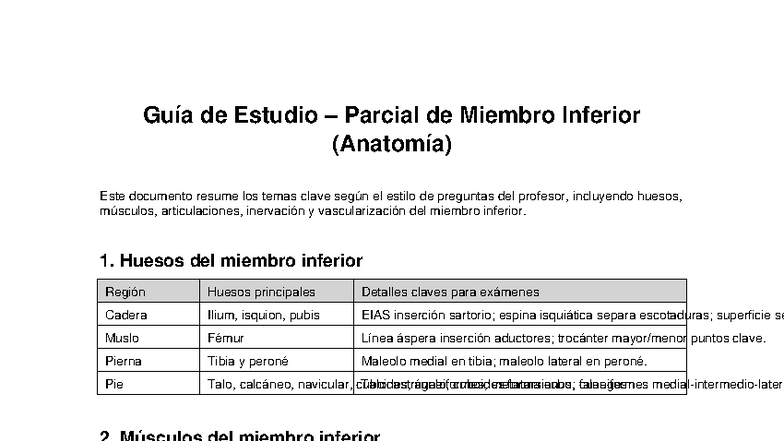 Guía de Estudio Parcial: Miembro Inferior (Anatomía) - Studocu