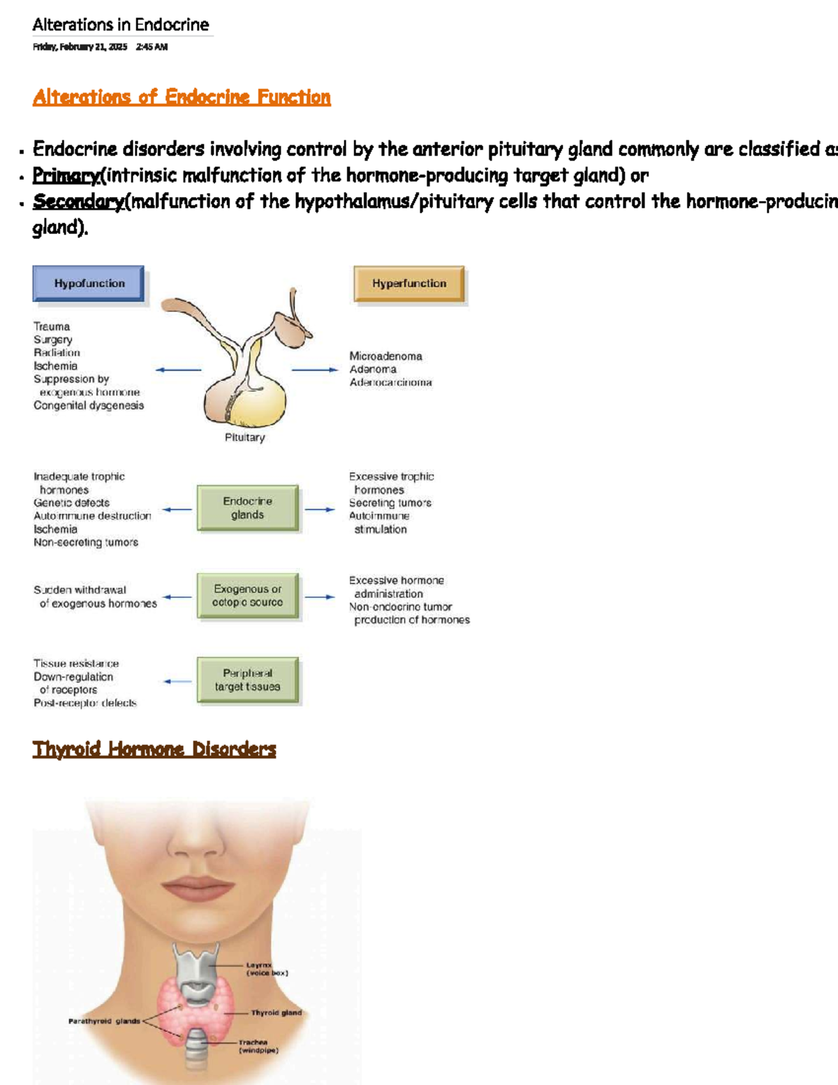Endocrine Disorders Overview: Alterations in Function and Hormones ...