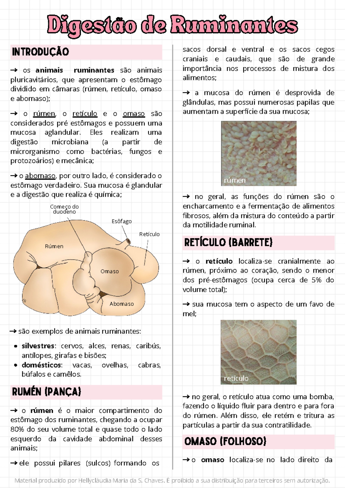 Digestão de Ruminantes - Digestão de RuminantesDigestão de Ruminantes ...