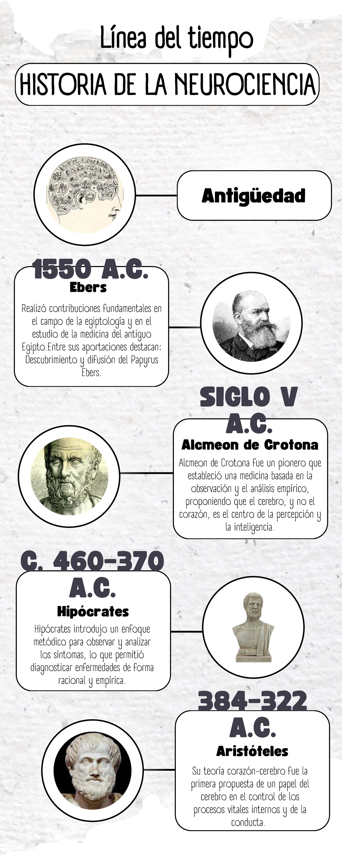 Línea del Tiempo: Historia de la Neurociencia (HIST 101) - Studocu