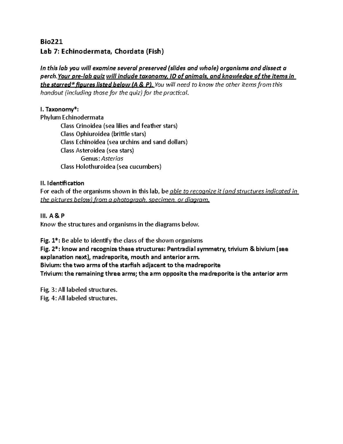 Phylum Sipuncula - General Zoology Lecture Notes and Handout - Animals ...