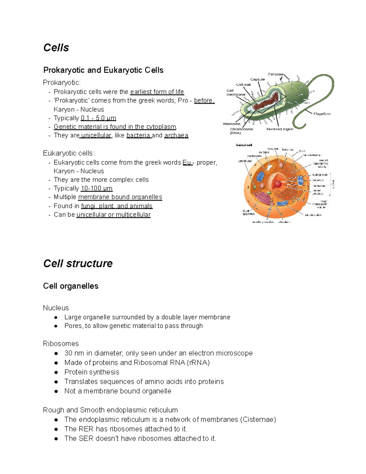 Biology Notes: Prokaryotic and Eukaryotic Cells Overview - Studocu