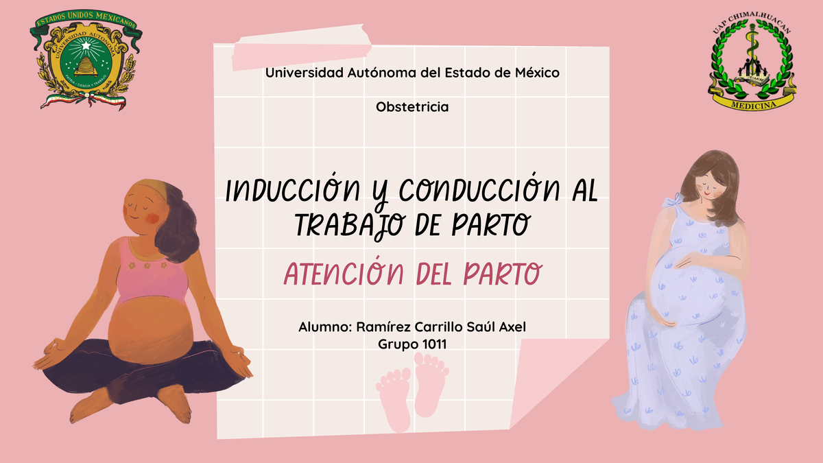 Inducción y Conducción al Trabajo de Parto: Atención Obstétrica 1011 - Document Preview