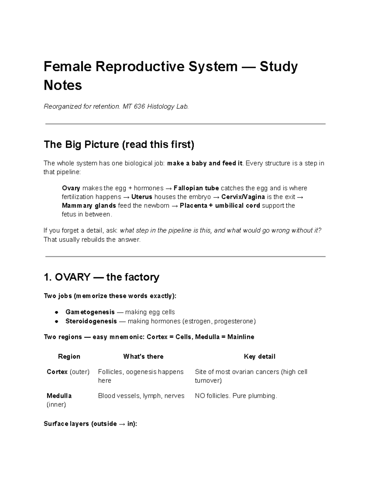 MT 636 Histology Lab: Female Reproductive System Study Notes - Studocu