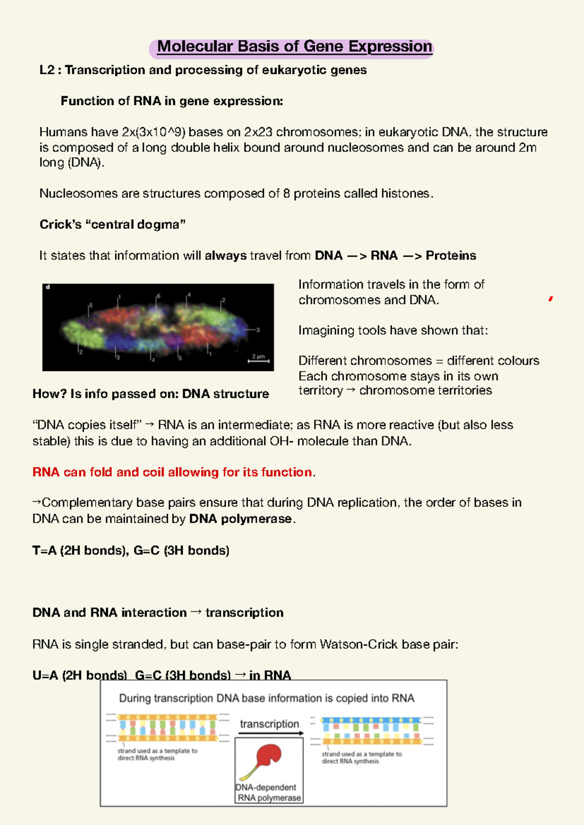 Molecular Basis of Gene Expression: Transcription and RNA Function ...