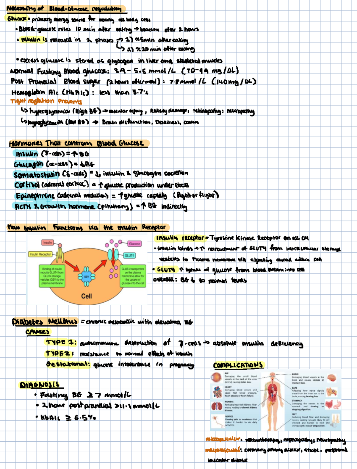 Diabetes and Its Treatments: Blood Glucose Regulation and Management ...