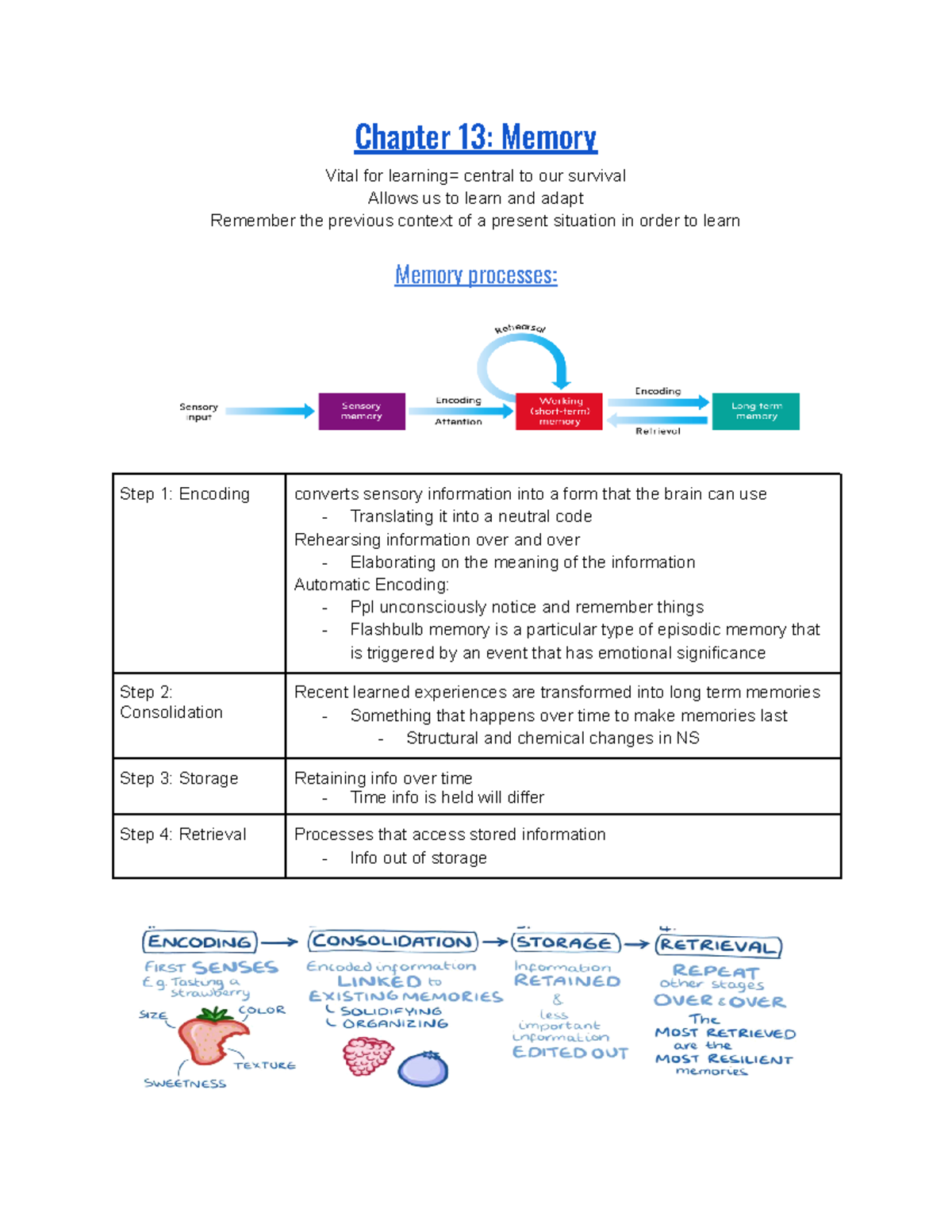 Chapter 13 Summary Notes: Memory - INTRO TO PSY - Studocu