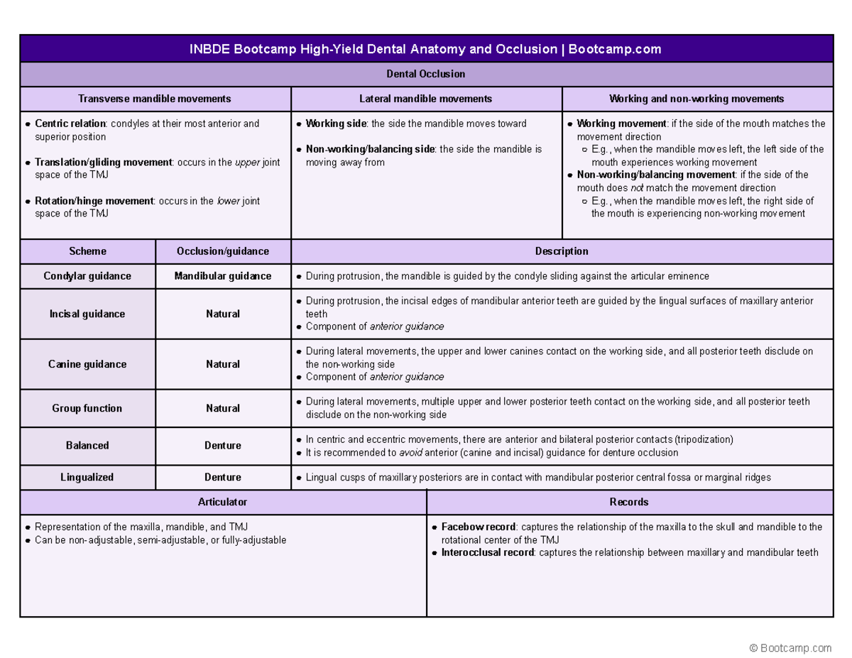 INBDE Dental Anatomy & Occlusion Bootcamp Study Guide - Studocu