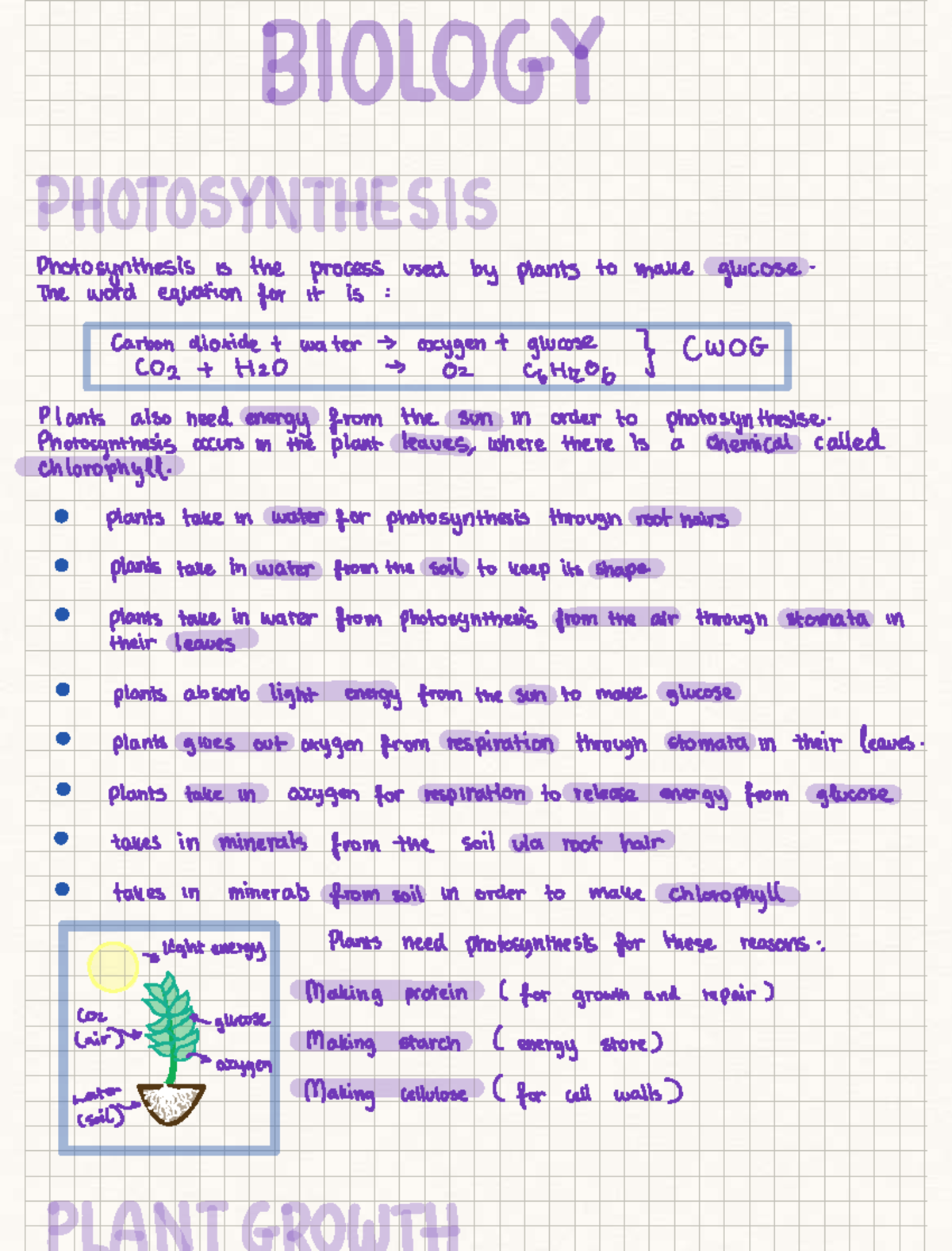 Year 9 Cambridge Science: Photosynthesis & Plant Growth Notes - Studocu