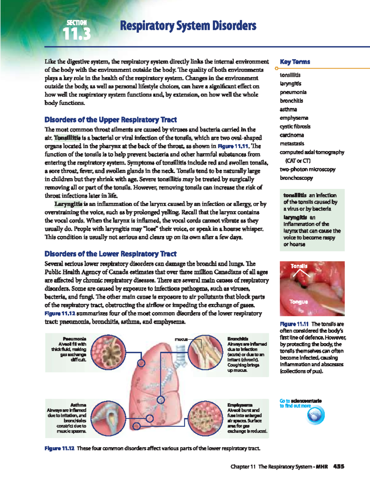 Respiratory System Disorders Overview - Studocu