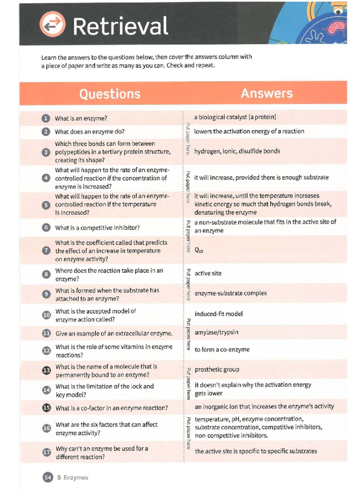 Enzyme Study Guide: Key Concepts and Practice Questions (BIO101) - Studocu