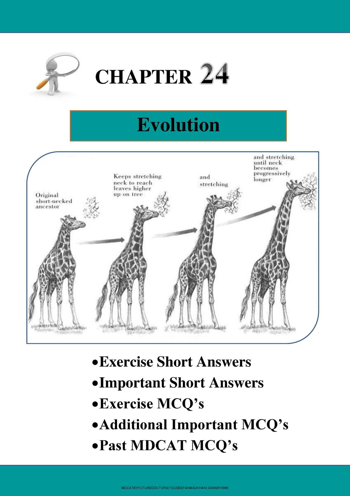Chapter 24 Evolution Overview: Short Answer & MCQ Guide for Biology 2nd ...
