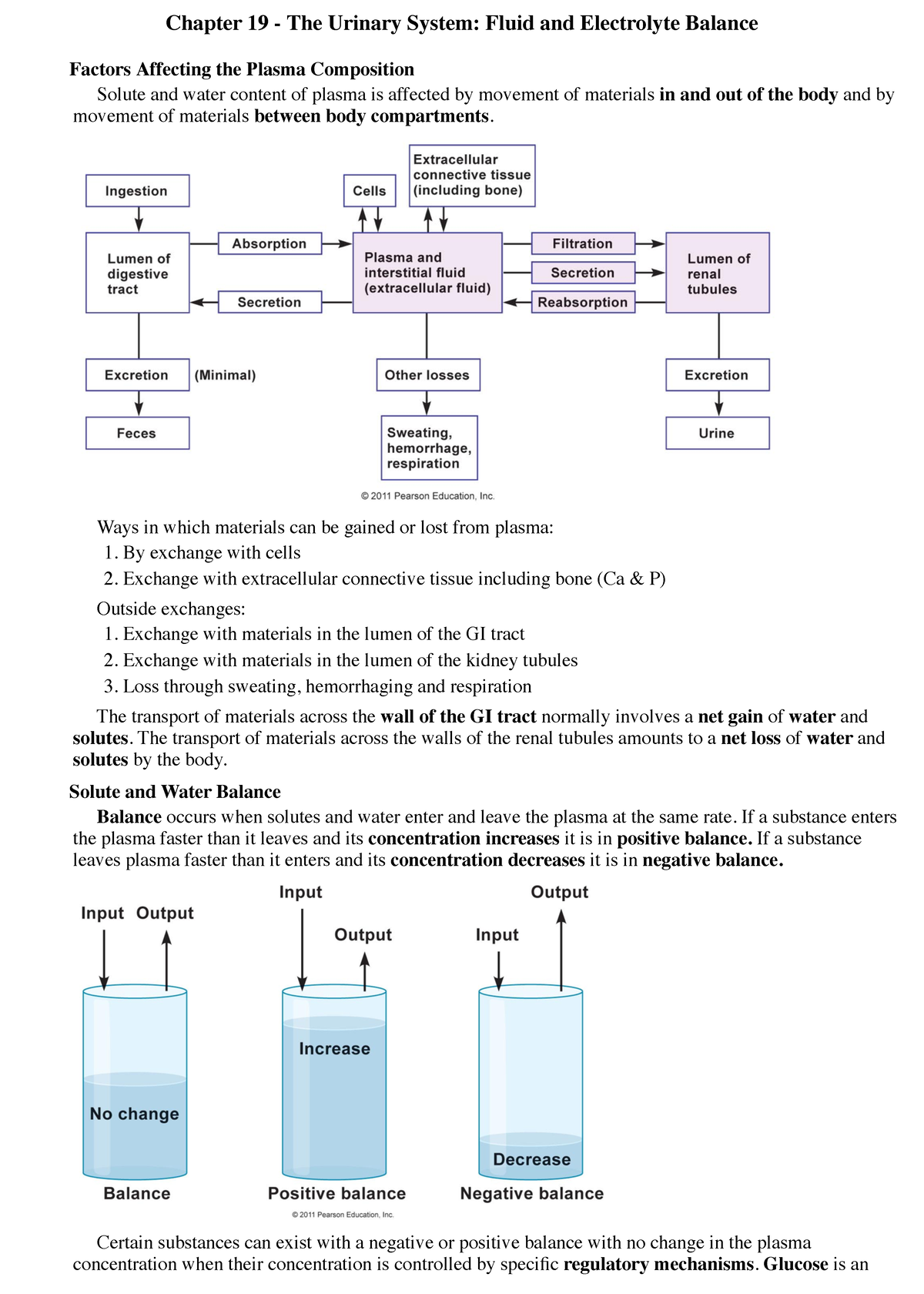 Chapter 19: The Urinary System - Fluid and Electrolyte Balance - Studocu