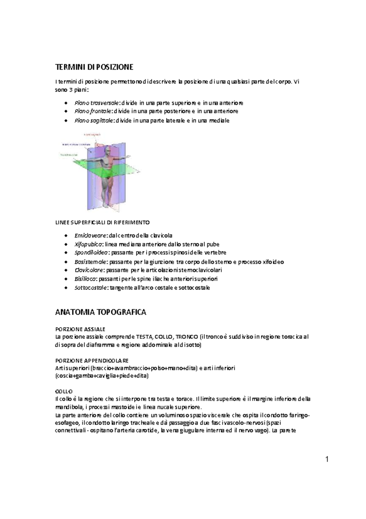 Riassunti di Anatomia Umana e Anatomia Specifica (CORSO: ANAT 101 ...