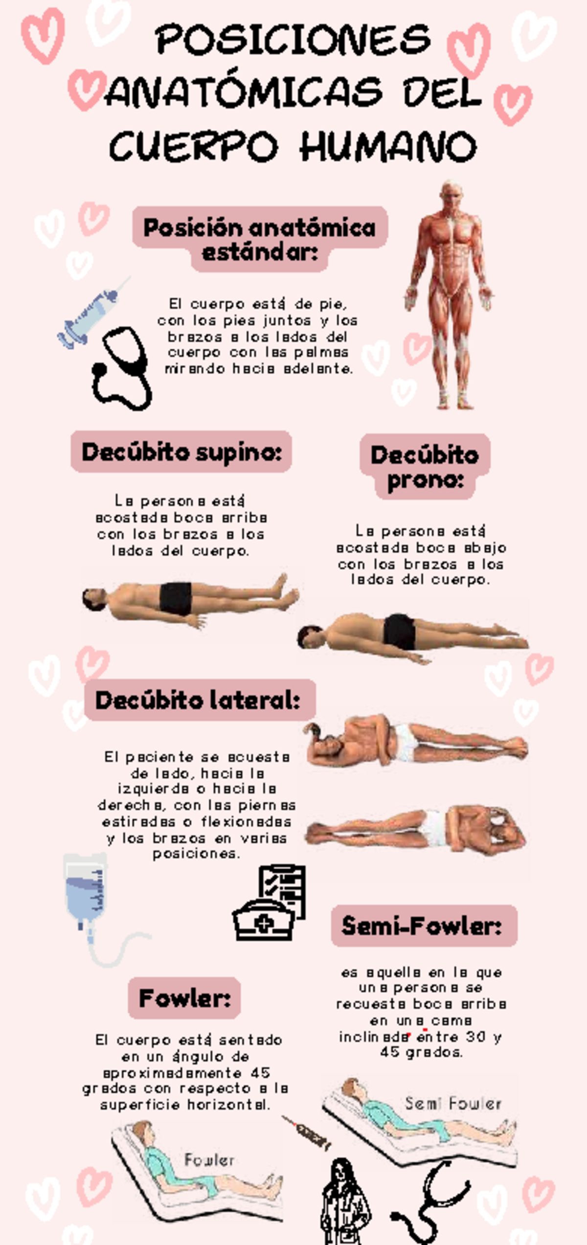 Infografía sobre Posiciones Anatómicas del Cuerpo Humano - Studocu